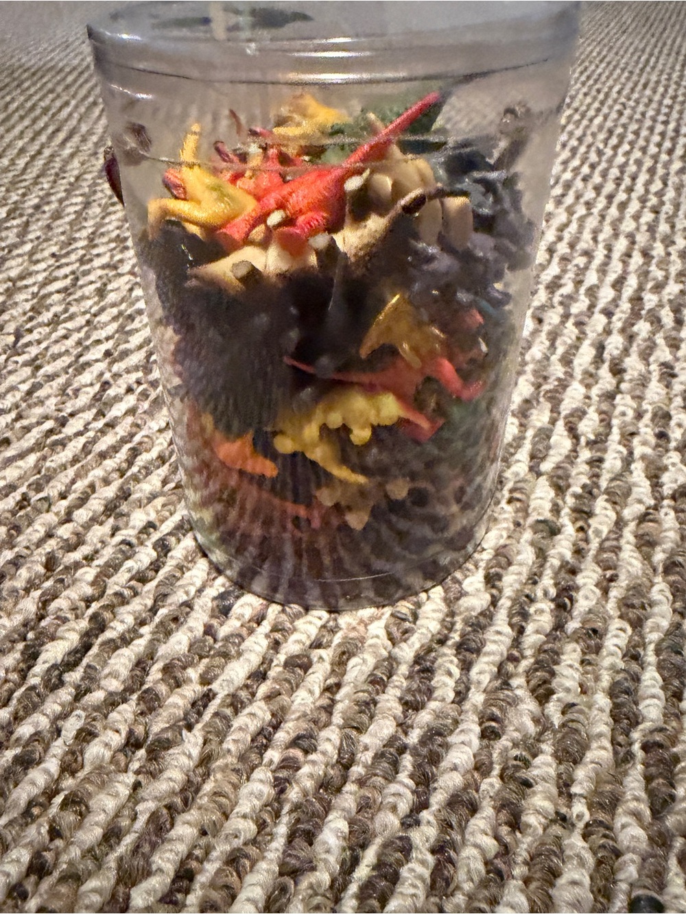 Assorted Small Plastic Dinosaurs in Clear Container - Multicolor